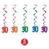 Beistle Celebrate Your Milestone Event with these Colorful Whirls from Beistle, 3', (10/Pkg) - 4 of 4
