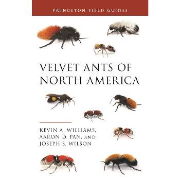 Velvet Ants of North America - (Princeton Field Guides) by  Kevin Williams & Aaron D Pan & Joseph S Wilson (Paperback)