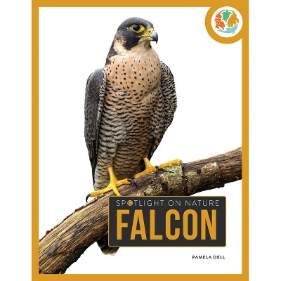 Falcon - by  Pamela Dell (Paperback)