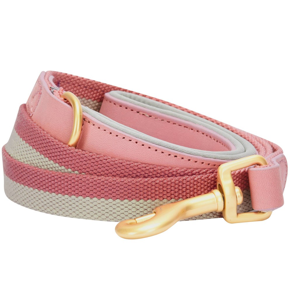 Blueberry Pet Polyester and Leather Dog Leash - 6ft x 3/4" - Pink and Gray