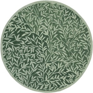 Jardin JAR753 Hand Tufted Indoor Rugs - Safavieh - 1 of 4