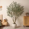 DR.Planzen Lifelike 6ft Artificial Olive Tree with Dual Trunk Design, White Round Planter Faux Olive Tree for Indoor Outdoor Home Decor - 2 of 4