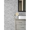 Disney Alice in Wonderland Kids' Garden Peel and Stick Wallpaper Black - 3 of 4
