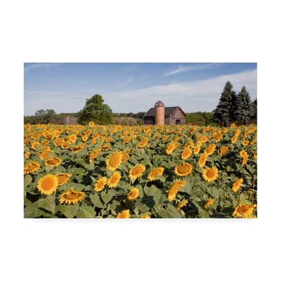22" x 32" Sunflowers And Barn Owosso Mi by Monte Nagler - Trademark Fine Art
