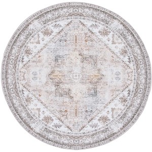Tucson Vintage Persian TSN102 Power Loomed Machine Washable Skid-Resistant Indoor Rugs - Safavieh - 1 of 4