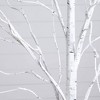 Nearly Natural 4' 5' 6' Pre-Lit Artificial White Birch Trees Set of 3 - 3 of 4
