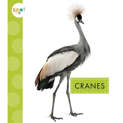 Cranes - (Spot Big Birds) by  Jessica Amstutz (Paperback)