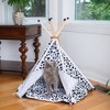 Armarkat Pet Tent Style Cat Bed C46, with Durable Fabric - 4 of 4