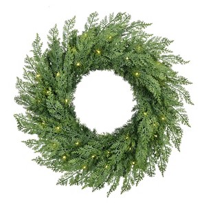 Puleo 24" Pre-Lit Battery-Operated Artificial Flocked Wreath with Twinkle Rice Lights - 1 of 4