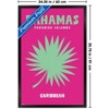 Trends International Reinders: Destinations - Destination Bahamas Framed Wall Poster Prints - 3 of 4