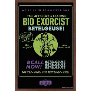 Trends International Beetlejuice Beetlejuice - Bio Exorcist Framed Wall Poster Prints - 1 of 4