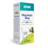 Mountain Pine, Buds by Boiron Herbal Supplement  -  2 fl oz(60 ml) Liquid - 3 of 4