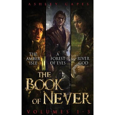 The Book of Never - by  Ashley Capes (Paperback)