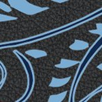 north carolina tar heels