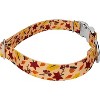 Country Brook Petz Premium Dog Collar - Awesome Autumn Collection - 3 of 4