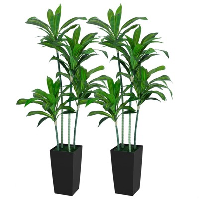 5FT Dracaena Draco Artificial Dragon Tree Dracaena Fragrans Faux Tree with Black Pot Artificial Plants for Home Office Indoor Outdoor Set of 2