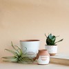 Large Natural Terracotta Painted Planter - Foreside Home & Garden - 2 of 4