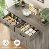 LunaLulinlk Storage Cabinet with 2 Drawers and 2 Doors, Wood Accent Cabinet for Living Room,Kitchen - 4 of 4