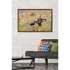 Trends International The Comedy Wildlife Photography Awards: Wendy Kaveney - That Wasn't Here Yesterday Framed Wall Poster Prints - 2 of 4