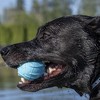 FurHaven Fetch N' Fun TPR Ball with Squeaker 3 Pack - 2 of 3
