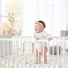 Sweet Jojo Designs Girl Baby Fitted Crib Sheet Butterfly Floral Pink Green and White - 2 of 4