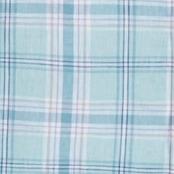 tea room blue plaid
