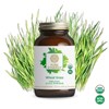 Pure Synergy Organic Wheat Grass Juice Powder – Cold-Pressed Superfood for Energy, Detox & Digestive Health – 5.3 oz - 2 of 4