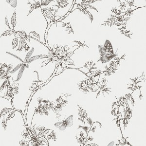 White Mica Nature Trail Wallpaper - 1 of 4
