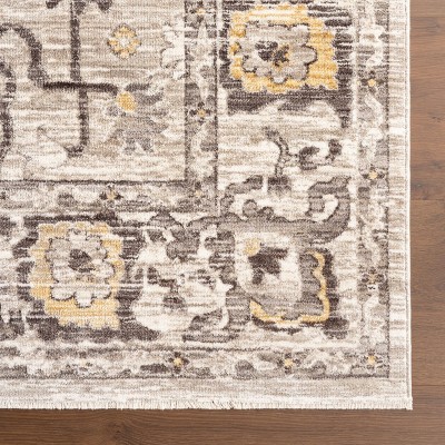 Devaki Beige and Gray Synthetic Medallion Area Rug, 4' x 6'