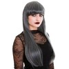 Franco Ghostly Grey Adult Womens Costume Wig - image 2 of 4