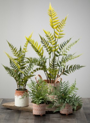 Verdant Charm 12" Plastic Potted Outdoor Fern