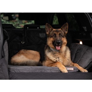 Backseat Barker: SUV Edition - 1 of 4