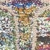 multi