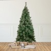 Northlight Medium Oregon Cashmere Pine Artificial Christmas Tree - 6.5' - Unlit - 2 of 4