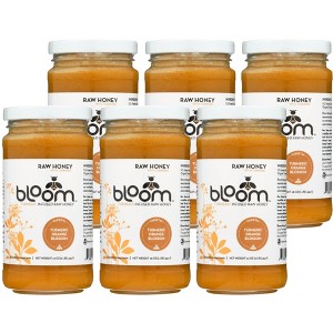 BLOOM PURE RAW HONEY Raw Turmeric Orange Blossom Honey - Case of 6/16 oz - 1 of 4