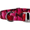 Country Brook Petz Premium Dog Collar - Affection Collection - 4 of 4