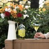 Stirrings Simple Apple Cocktail Mix 750ml Bottles - Real Juice No Preservatives - 90 Calories - Drink Mixer - 2 of 4