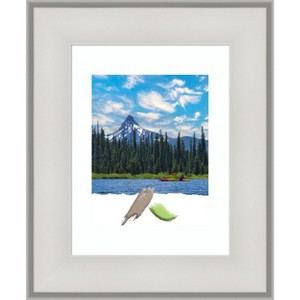 Amanti Art Imperial Picture Frame - 1 of 4