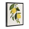 Stupell Industries Simple Yellow Country Lemon Leaf, 17" x 21" - 3 of 4