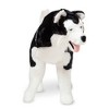 Melissa & Doug Giant Siberian Husky - Lifelike Stuffed Animal Dog (over 2 feet tall) - 4 of 4