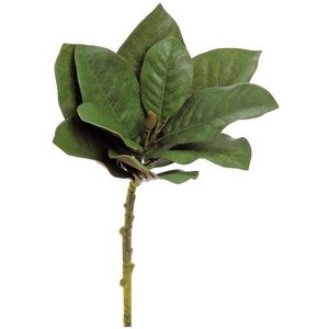 Northlight Magnolia Leaf Artificial Spray - 18" - Green and Brown - 1 of 1