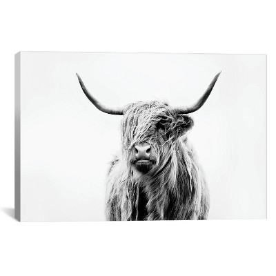 26" x 40" Portrait Of A Highland Cow by Dorit Fuhg Canvas Print Black/White - iCanvas