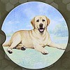 E & S Imports 2.5 Inch Yellow Labrador Car Coaster Super Absorbent Coasters - 3 of 3
