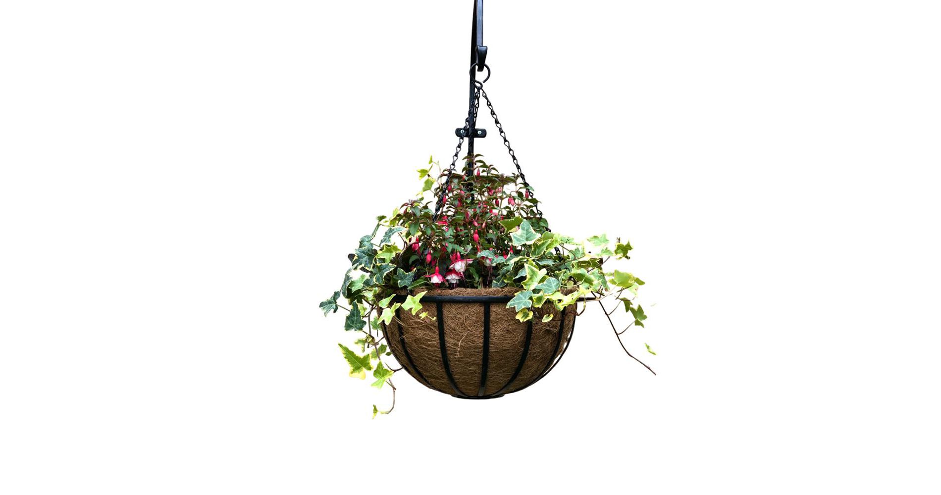 Tierra Garden 16" Cambridge Premium Hanging Basket with Coco Liner