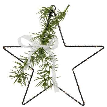Northlight 11" LED Lighted Star with Rosemary Sprig Christmas Decoration, Warm White Lights
