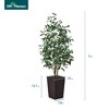 DR.Planzen 72" Faux Ficus Tree with Real Wood - UV Resistant 6FT Artificial Plant with Silk Leaves in 15.7" Planter for Indoor & Floor Decor - 3 of 4