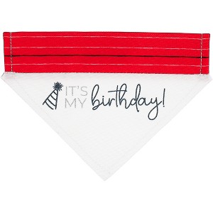 Pavilion Gift Company - It's My Birthday - 7" x 5" Canvas Slip on Pet Bandana - Pet Toy - 1 of 4