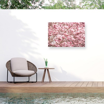 Philippe Sainte Laudy Magnolias of March Outdoor Canvas Art