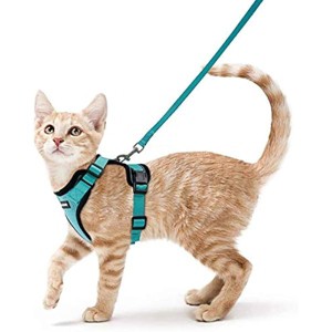 rabbitgoo Cat Harness and Leash for Walking, Escape Proof Soft Adjustable Vest Harnesses for Cats, Easy  Jacket, Emerald, XS - 1 of 1
