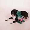 PetShop by Fringe Studio Surfer Bro Rex Dog Toy - 2 of 3